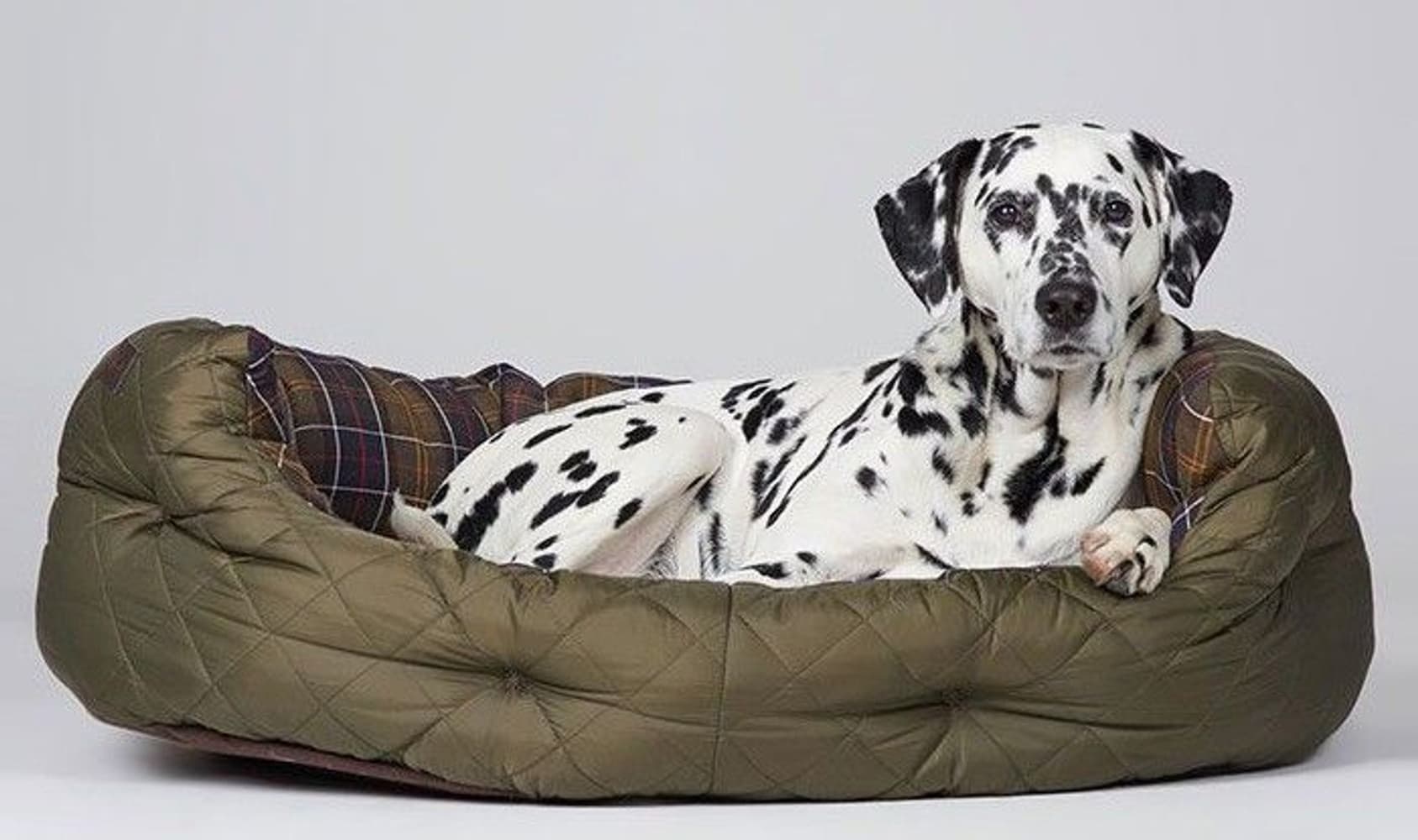 Quilted Dog Bed 35'' koiran peti, Olive, view: 4