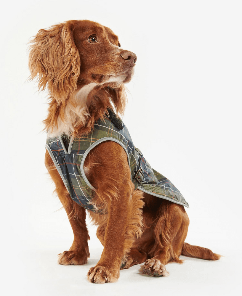 vedenpitävä koiran takki, Classic Tartan, view: 8