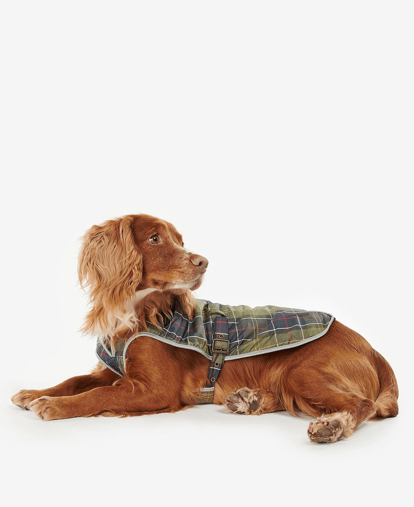 vedenpitävä koiran takki, Classic Tartan, view: 7