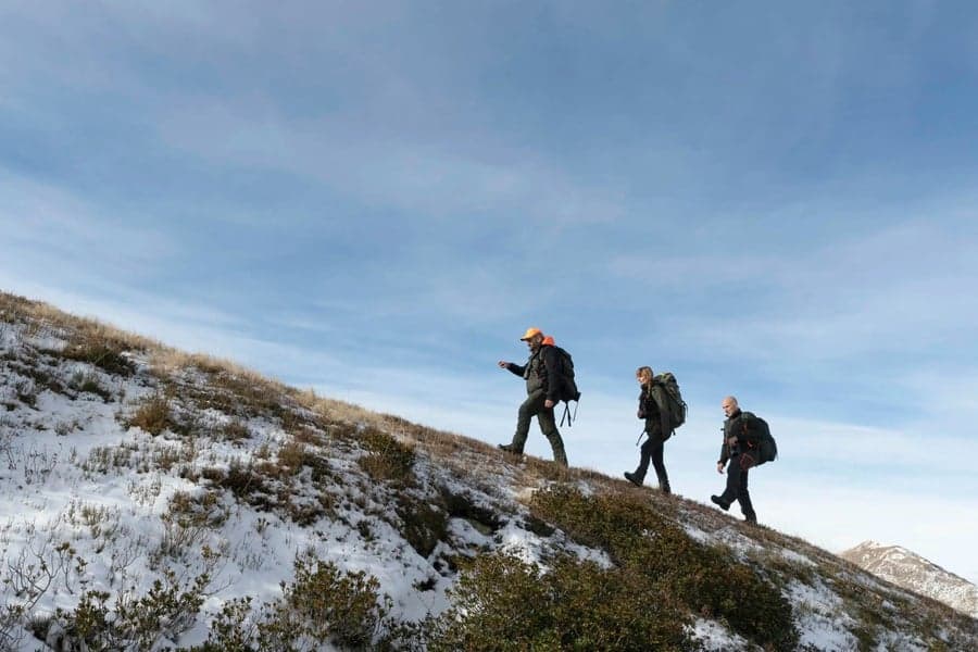 AKU Riserva High Nubuk GTX metsästyskengät, ruskea, view: 5