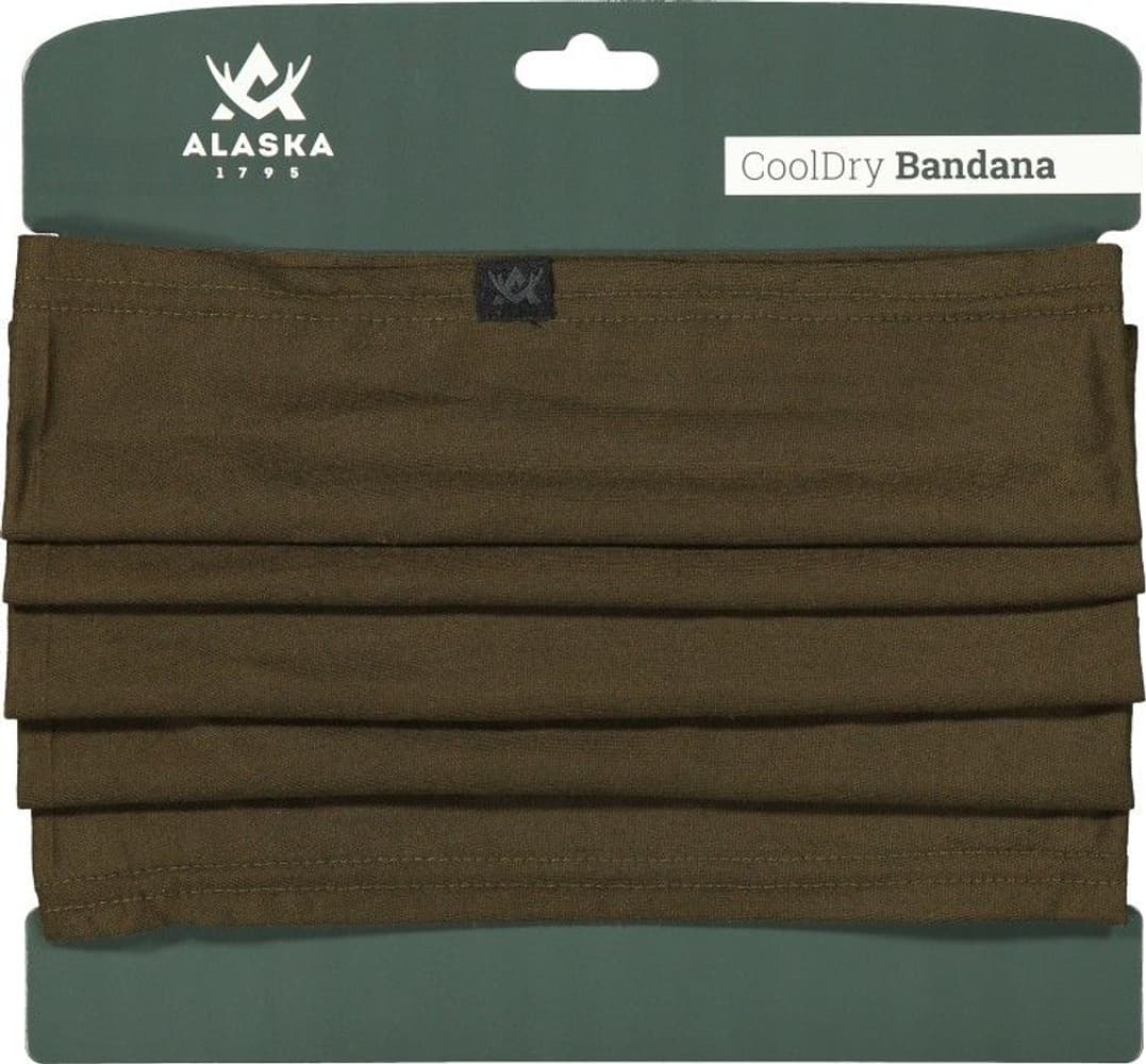 CoolDry Bandana, Moss Brown, view: 0