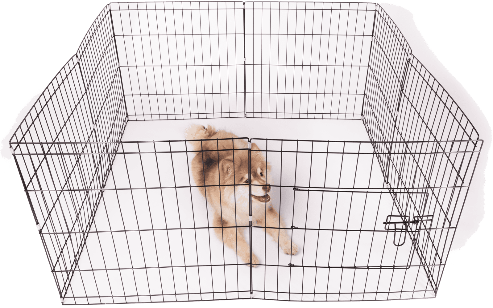 Dog Cage pentuaitaus 112x112x61 cm, view: 1