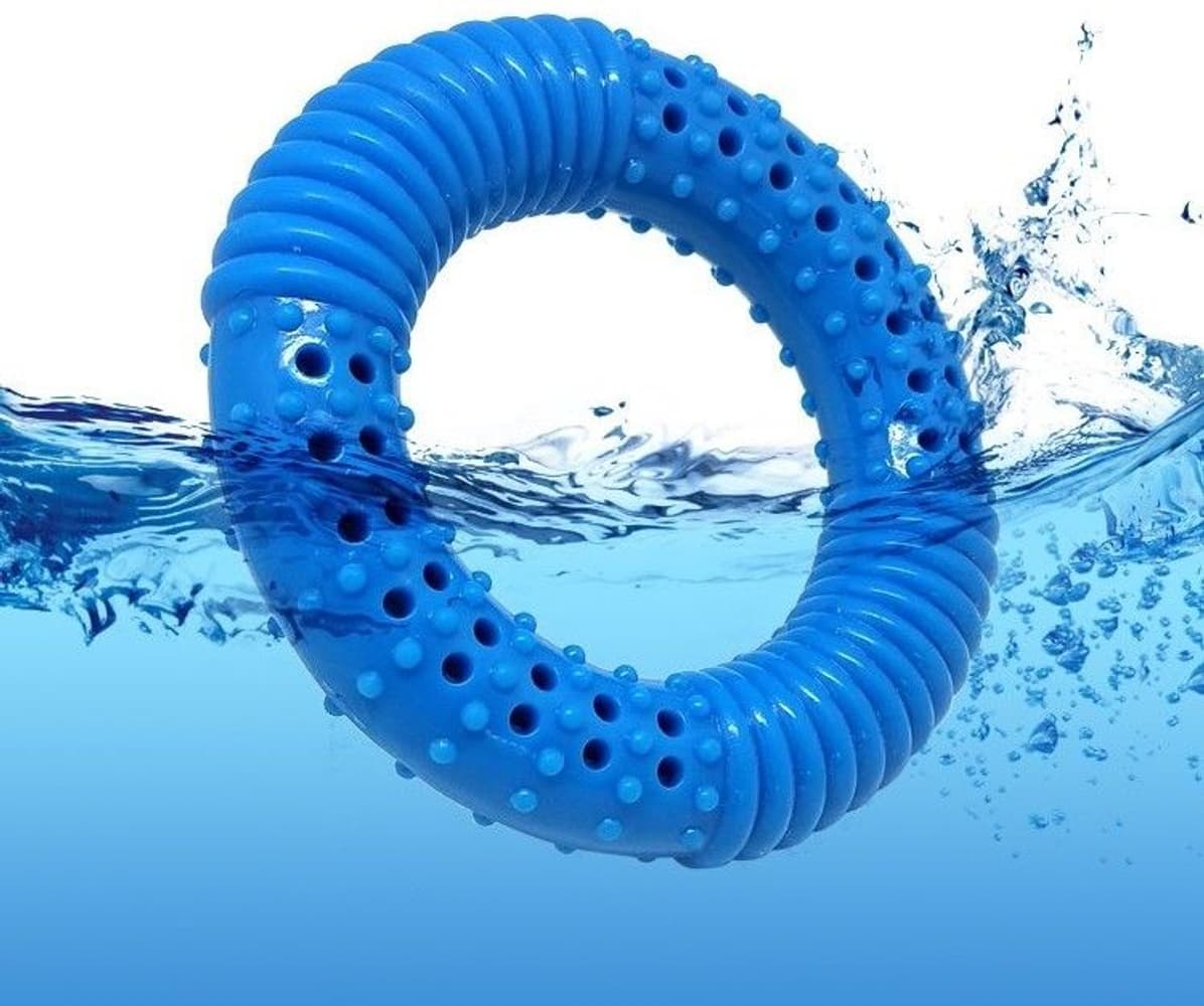 Floating Hydro Ring koiranlelu vesisäiliöllä, sininen, view: 1
