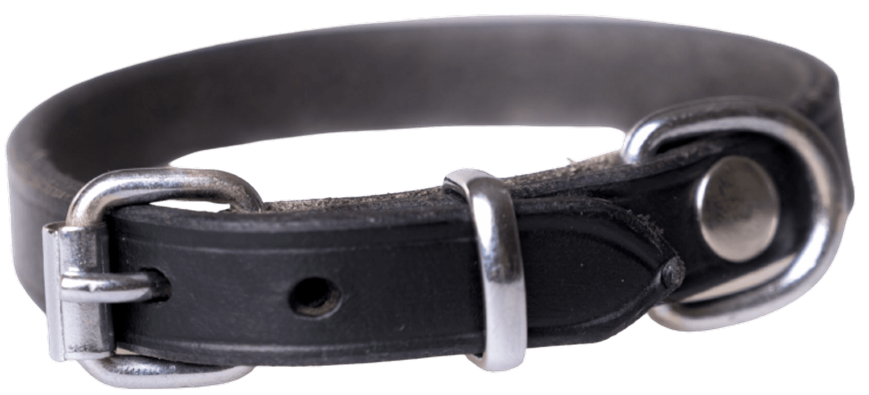 Leather Collar koiran nahkapanta, 55 - 60 cm, view: 2