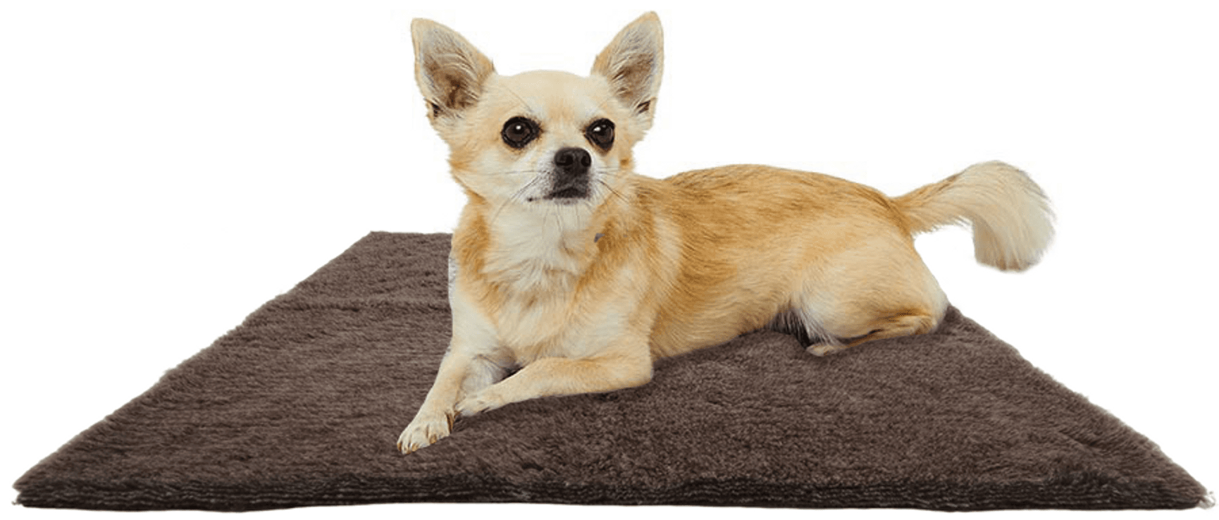 Vetbed 100x150 cm Large Brown, view: 3