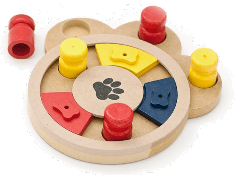 Brain koiran aktivointilelu, view: 0