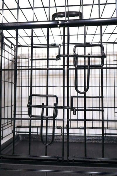 Premium Dubbeldoor Cage 61x46x51 cm, view: 3