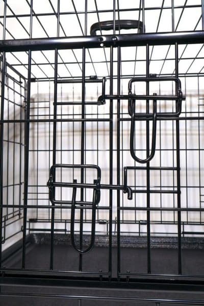 Premium Dubbeldoor Cage 91x61x67 cm, view: 3