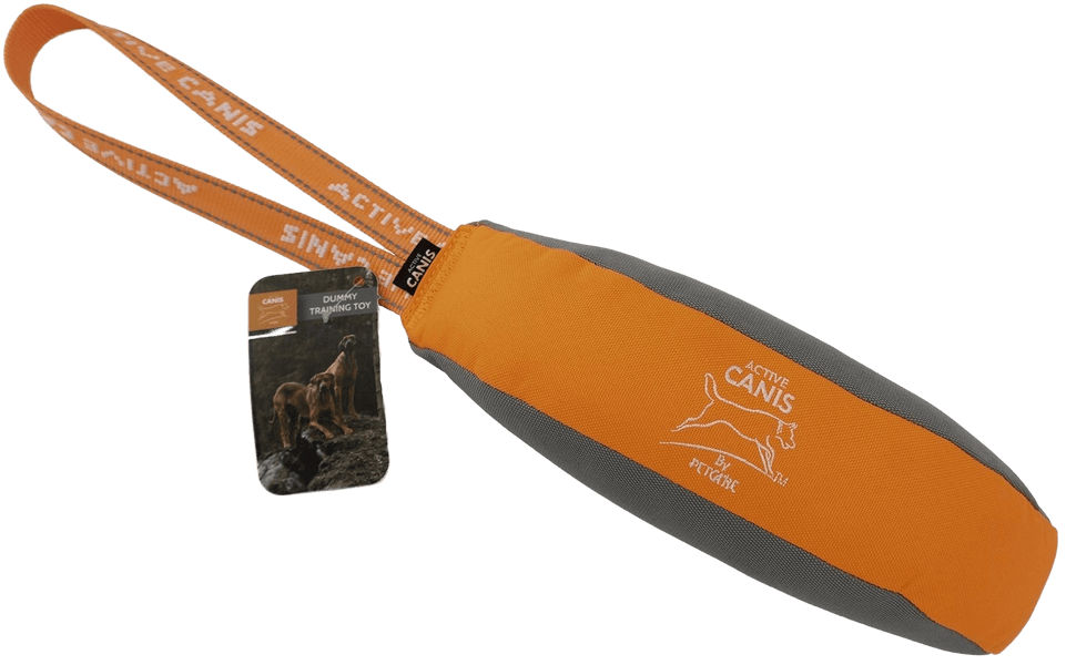 Dummy koiranlelu, 25 cm, view: 0