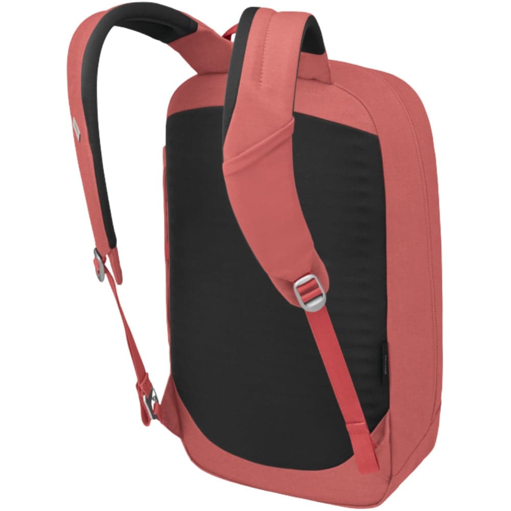 Arcane Large Day Red Pampas, view: 3