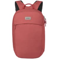 Arcane Large Day Red Pampas - view: 1