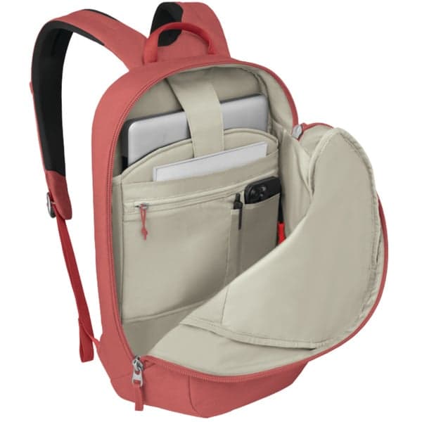 Arcane Large Day Red Pampas, view: 2