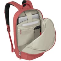 Arcane Large Day Red Pampas - view: 2