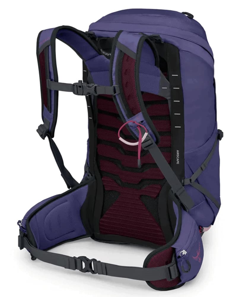 Tempest 26 Deep Fig Hotspot Pink, view: 2