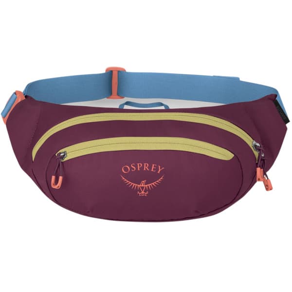 Daylite Waist Pack 2L Moody Burgundy, view: 1