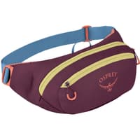 Daylite Waist Pack 2L Moody Burgundy - view: 0