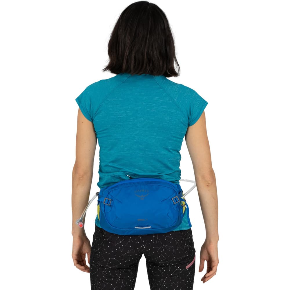 Seral 4 Postal Blue, view: 10