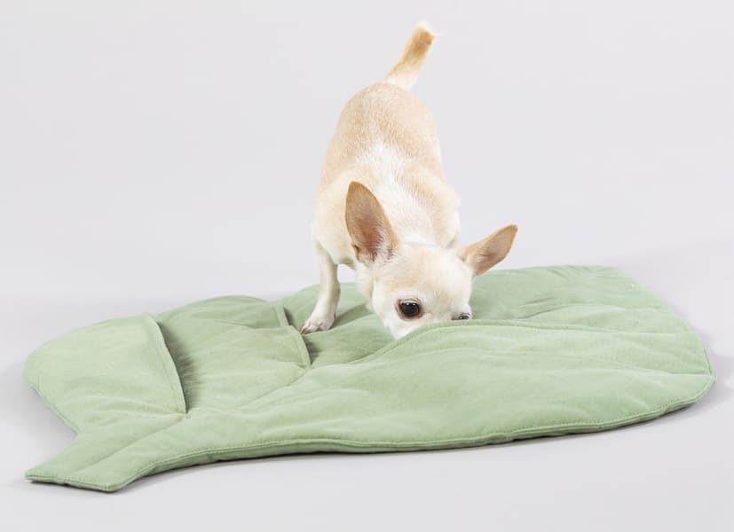 Leaf Playmat aktivointimatto / makuualusta, view: 1