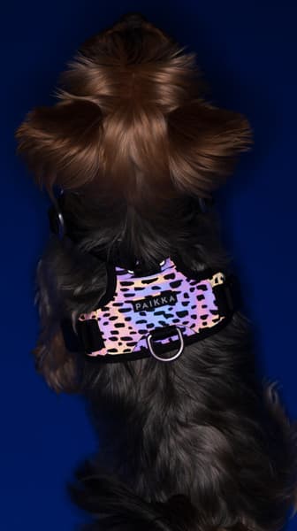 Harness 2.0 valjaat, view: 3