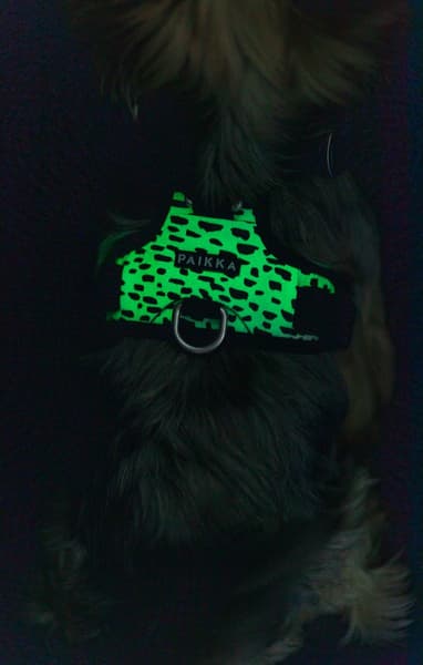 Harness 2.0 valjaat, view: 4