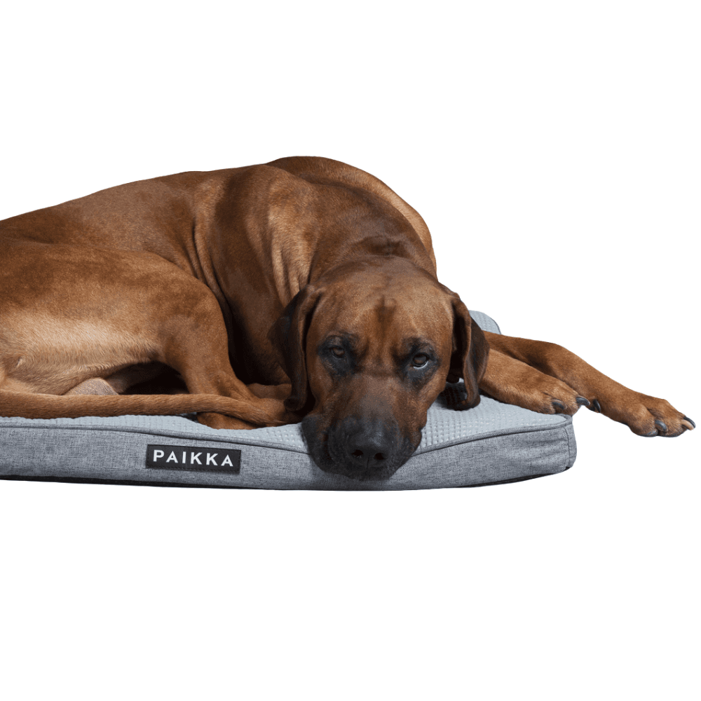 Cooling Orthopedic Mattress Grey 120 cm, view: 1