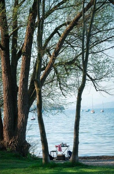 Campfire Table, view: 3