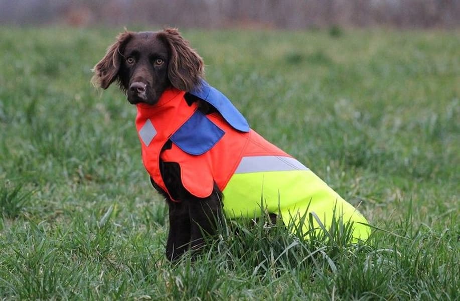 Tuskproof villisikaliivi koiralle, M, view: 0