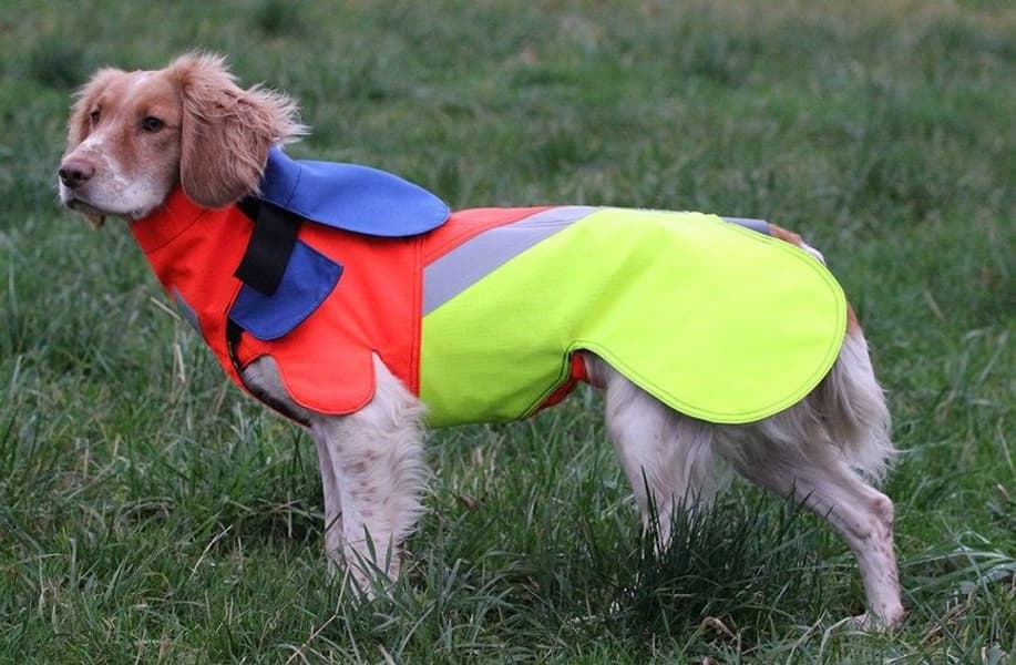 Tuskproof villisikaliivi koiralle, M, view: 2