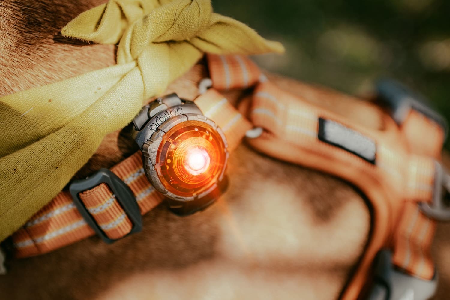 Dual -turvavalo, Amber, view: 1