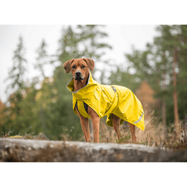 Kuori 37-40 cm Lemonade, view: 1