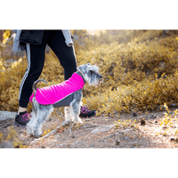 Jumppa 60-65 cm Pink - view: 1