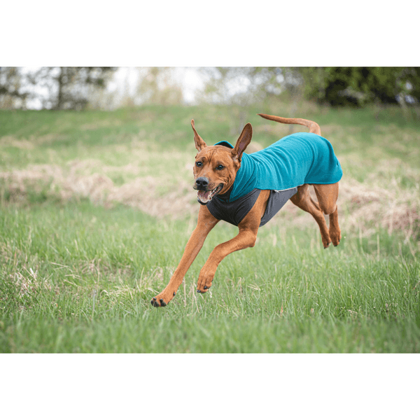 Jumppa 25-28 cm Forest, view: 2