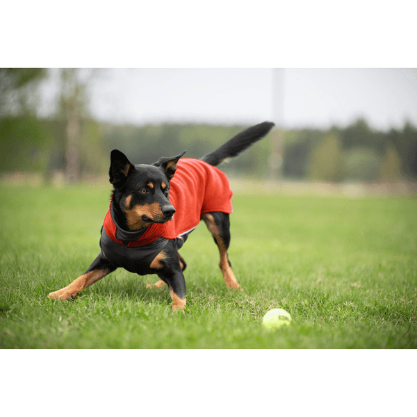 Jumppa 25-28 cm Habanero, view: 1