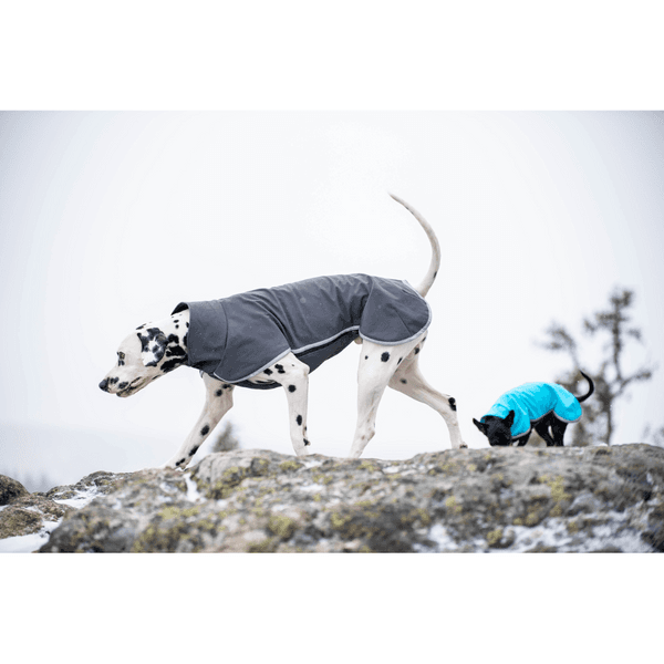 Sportti koirantakki, 31-34 cm, Graphite, view: 1
