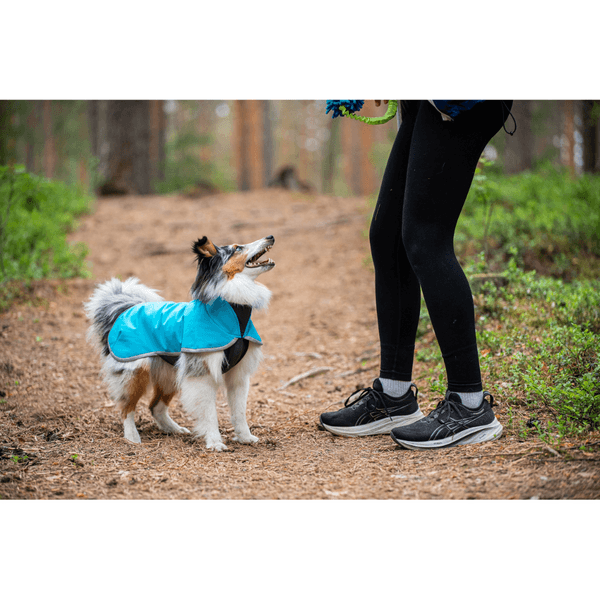 Sportti koirantakki, 31-34 cm, Arctic, view: 3