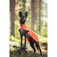 Sportti 37-40 cm Habanero - view: 1