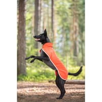 Sportti 37-40 cm Habanero - view: 2