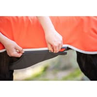 Sportti 60-65 cm Habanero - view: 4