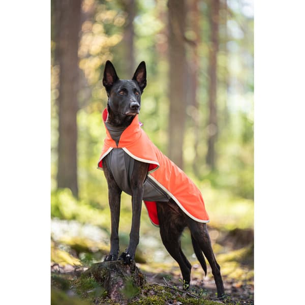 Sportti 60-65 cm Habanero, view: 1