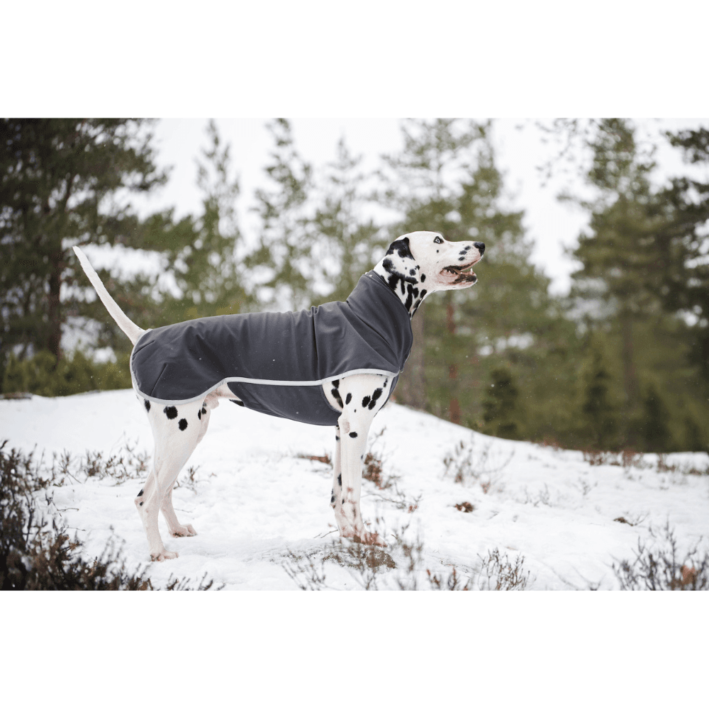 Sportti koirantakki, 52-56 cm, Graphite, view: 2