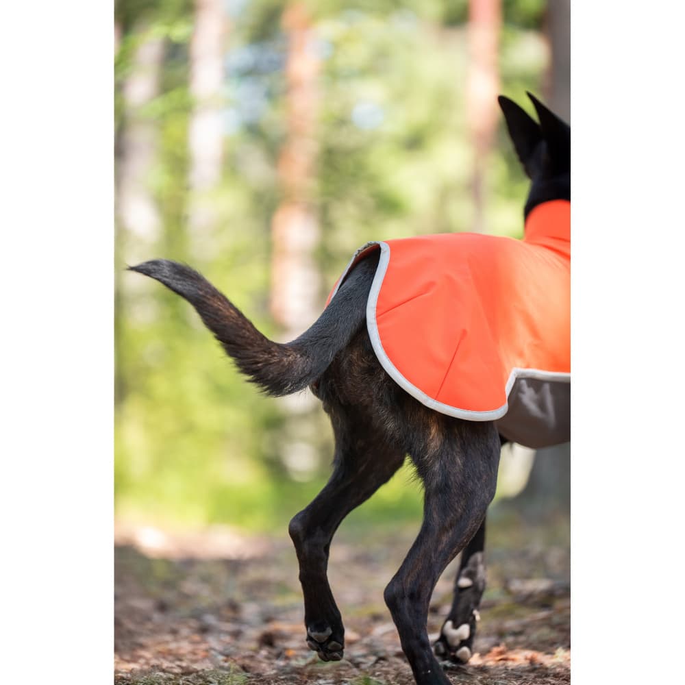 Sportti 44-48 cm Habanero, view: 3