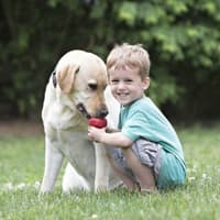 Classic XL Röd - view: 3