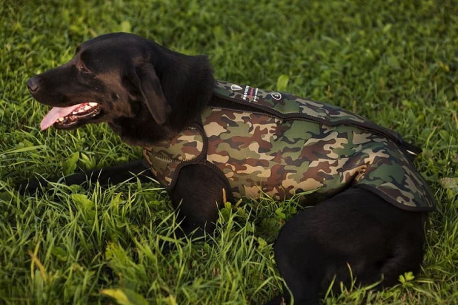 Retriever neopreeniliivi, Camo, view: 2