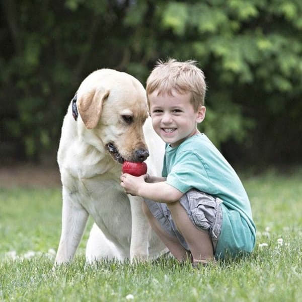 Classic koiran lelu, XS, view: 2