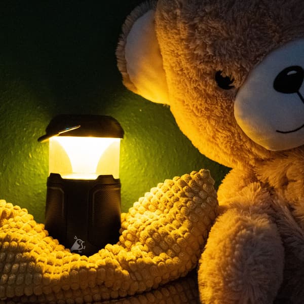 Soundbird B1 retkivalaisin kaiuttimella, view: 2