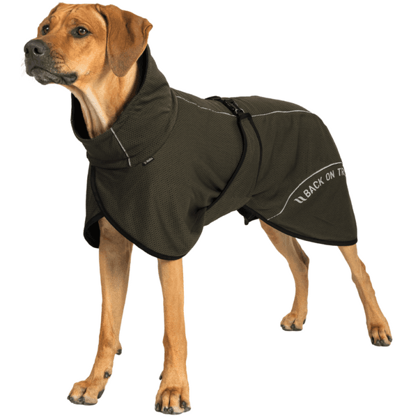 Bay Mesh Coat Low Set Tail 70-80 cm Olive, view: 1