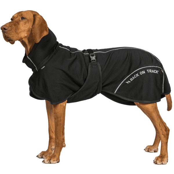 Bay Mesh Coat Low Set Tail 55-65 cm Black, view: 1