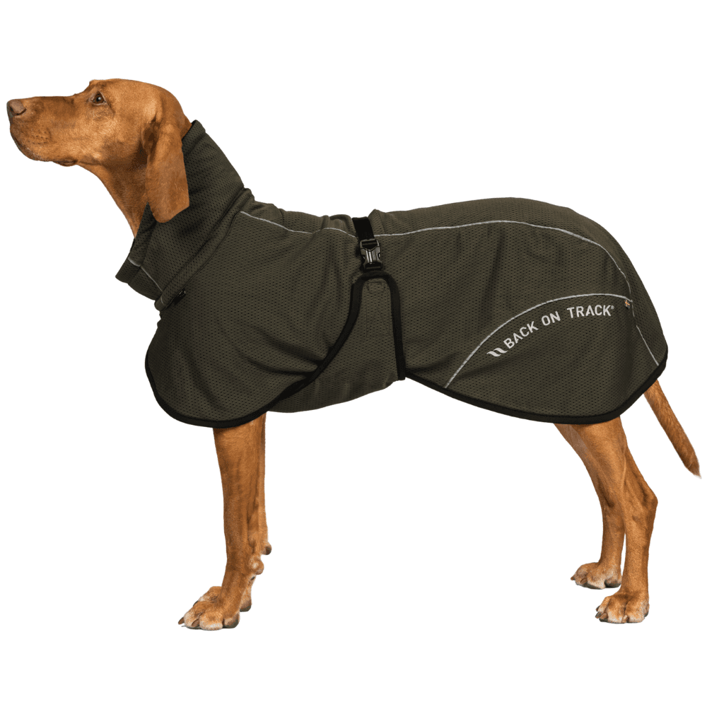 Bay Mesh Coat Low Set Tail 55-65 cm Olive, view: 2