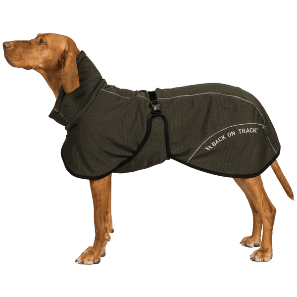 Bay Mesh Coat Low Set Tail 55-65 cm Olive, view: 2