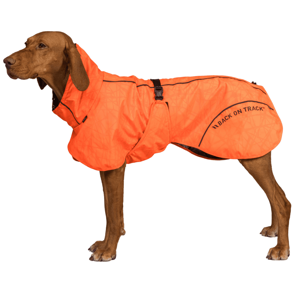Bay Rain Coat High Set Tail 40-50 cm Orange, view: 1